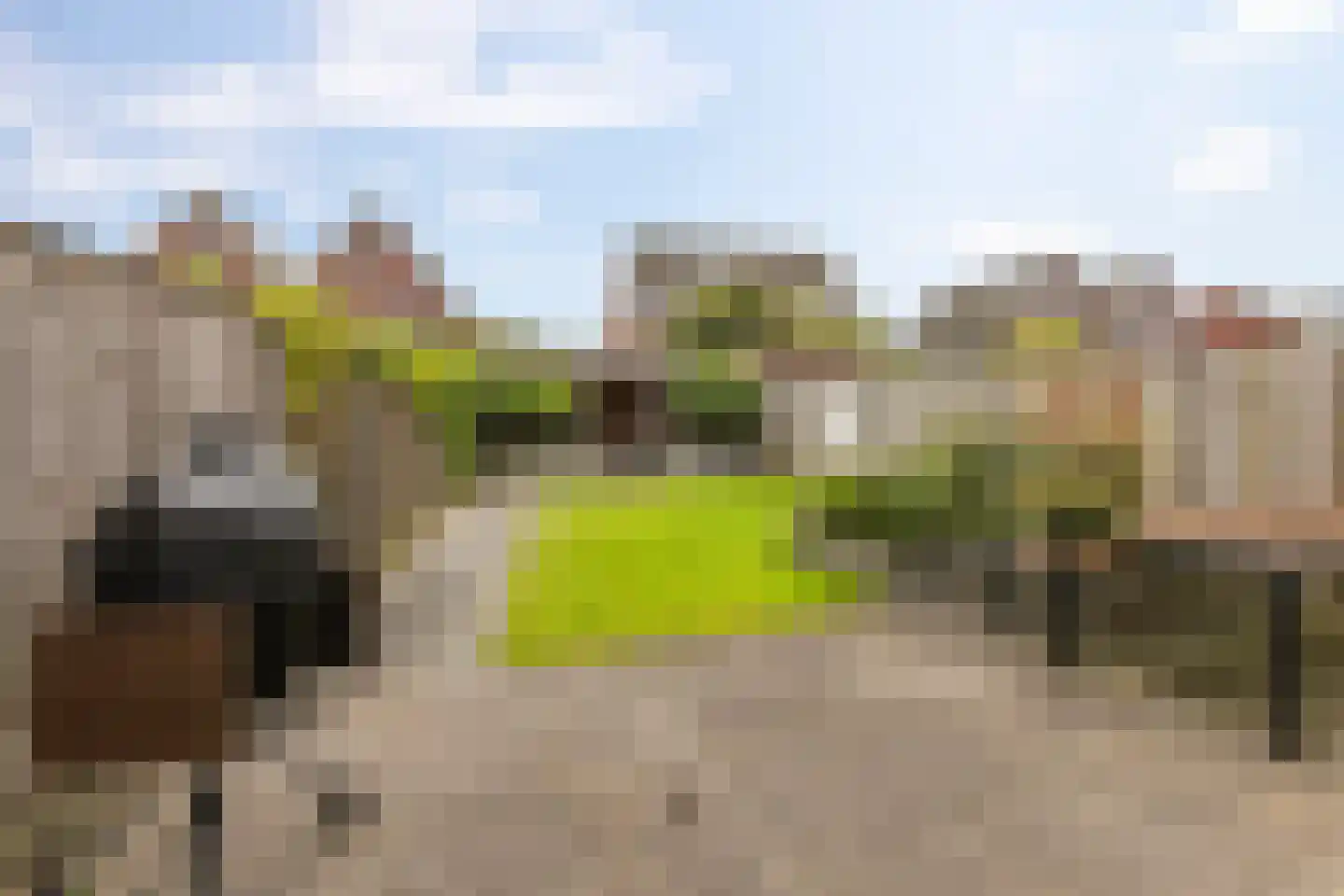 Smient 45 Bedum thumbnail 7