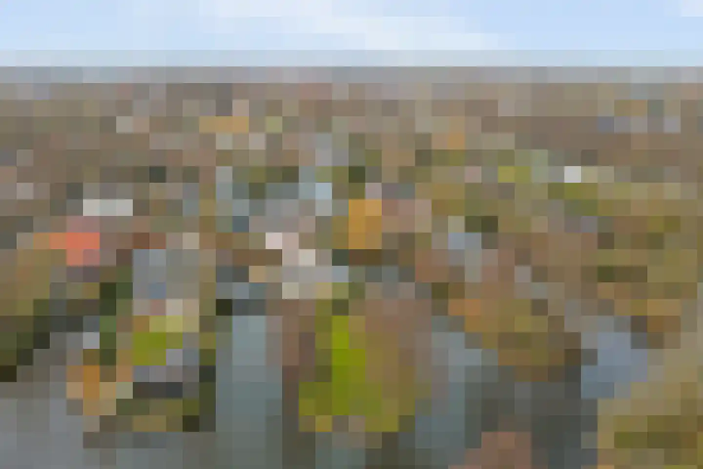 Smient 9 Broek op Langedijk