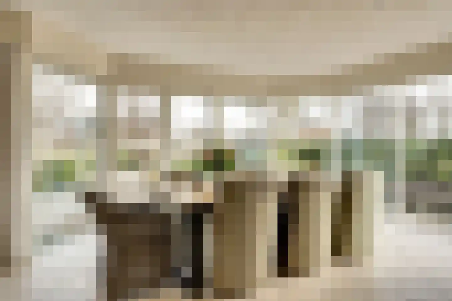 Smient 9 Broek op Langedijk thumbnail 15