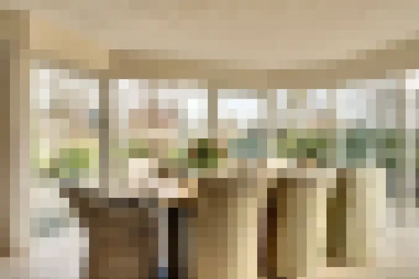 Smient 9 Broek op Langedijk thumbnail 17