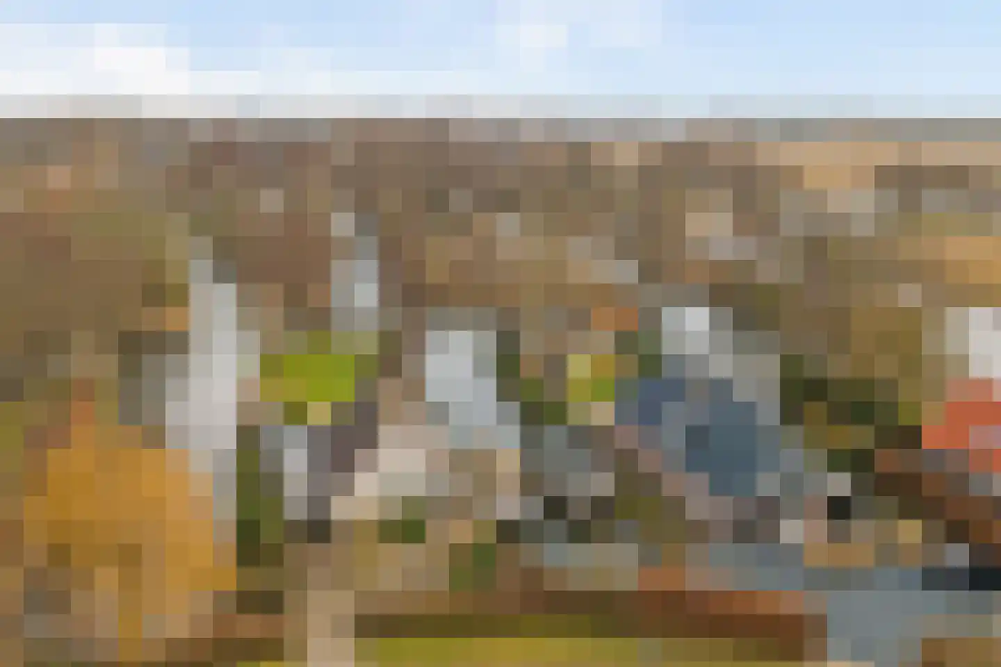 Smient 9 Broek op Langedijk foto 2