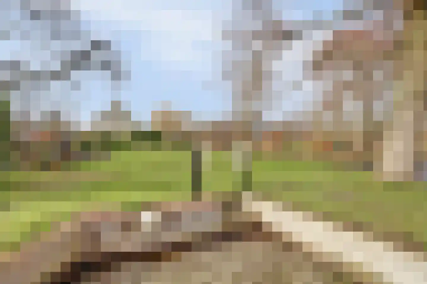 Smient 9 Broek op Langedijk thumbnail 36