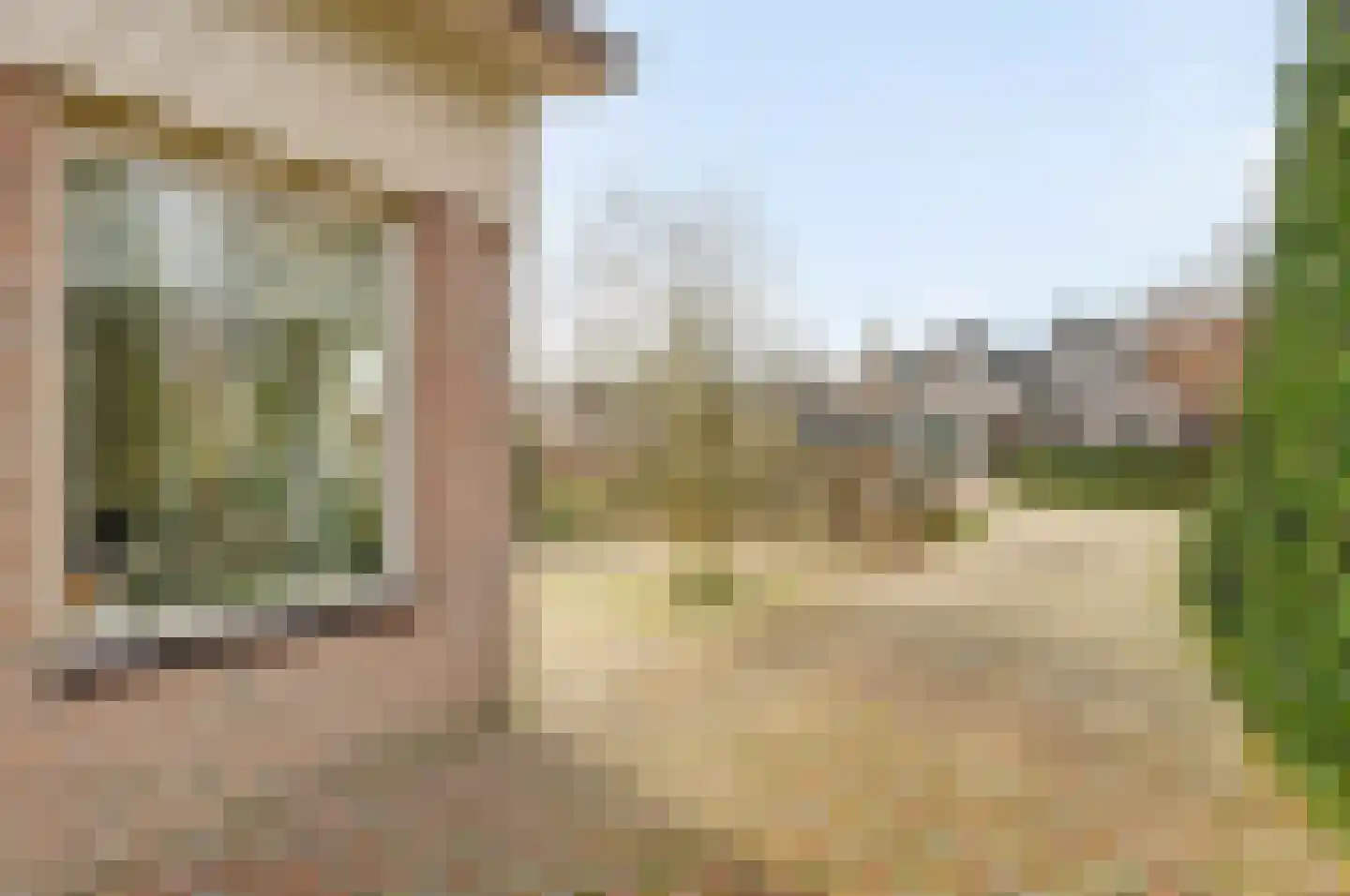 Smient 9 Broek op Langedijk thumbnail 4