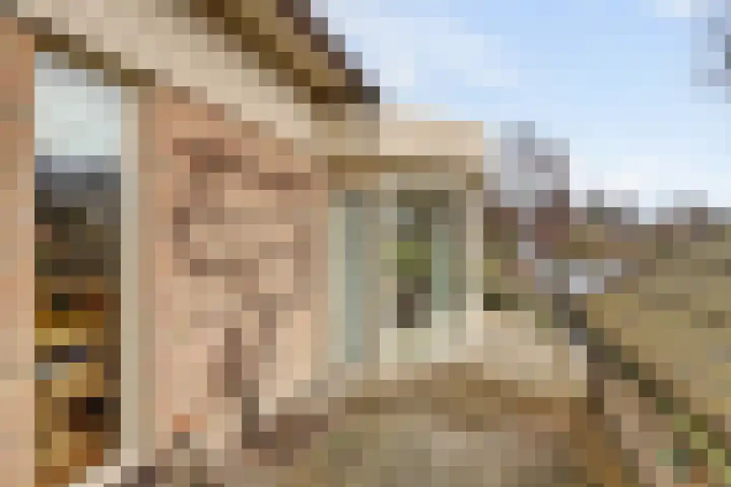 Smient 9 Broek op Langedijk thumbnail 41
