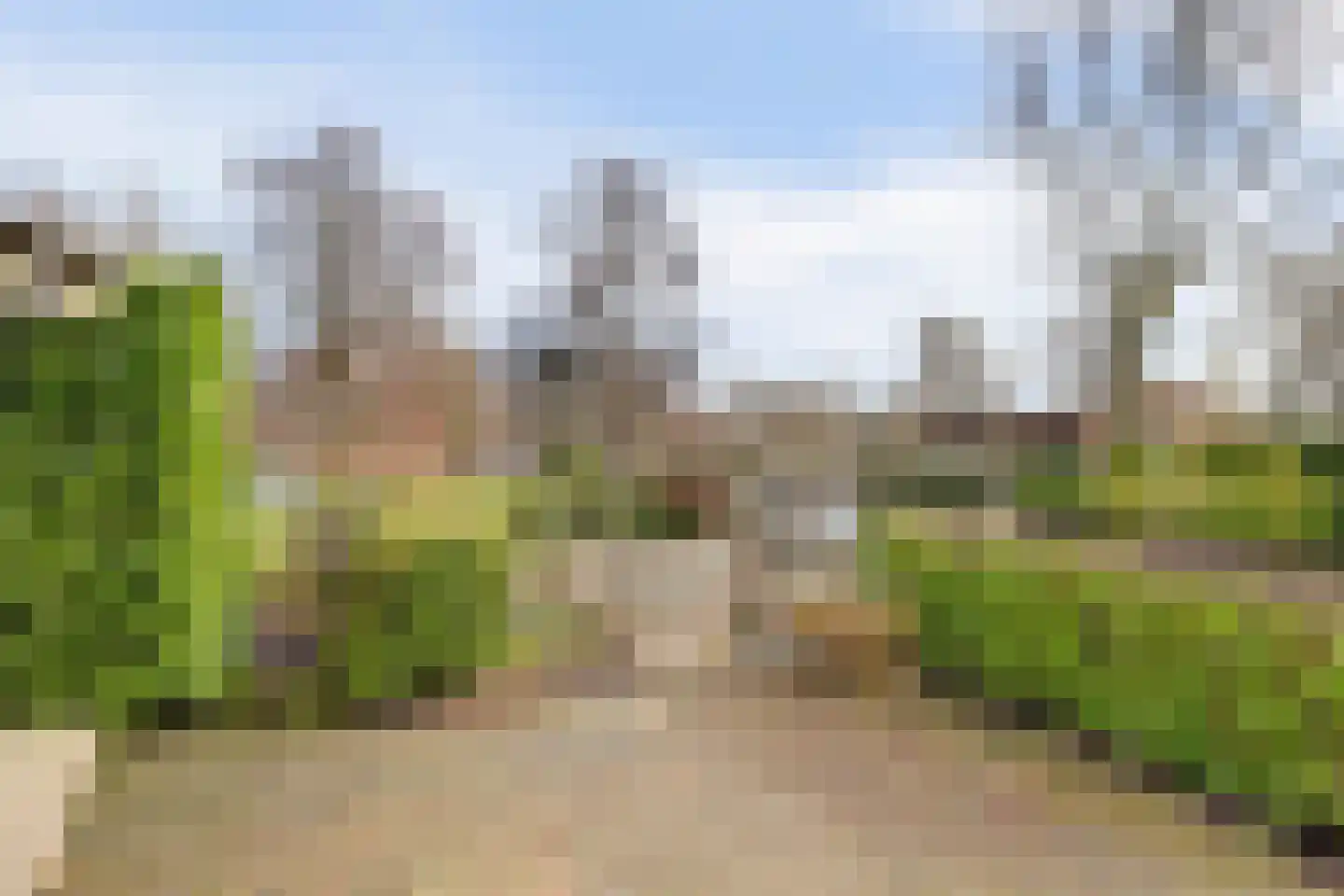 Smient 9 Broek op Langedijk thumbnail 42