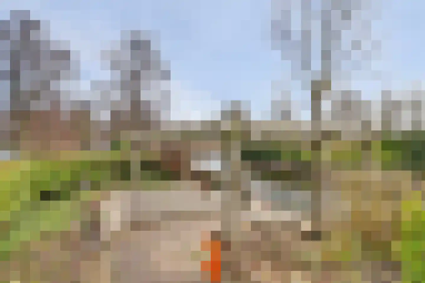 Smient 9 Broek op Langedijk thumbnail 43