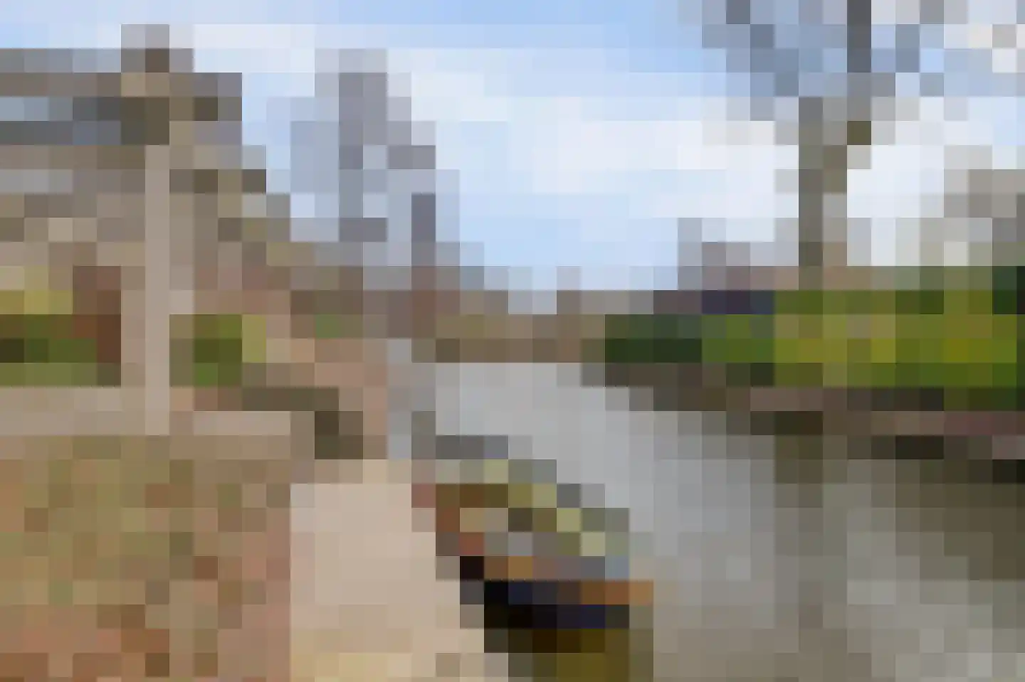 Smient 9 Broek op Langedijk thumbnail 44