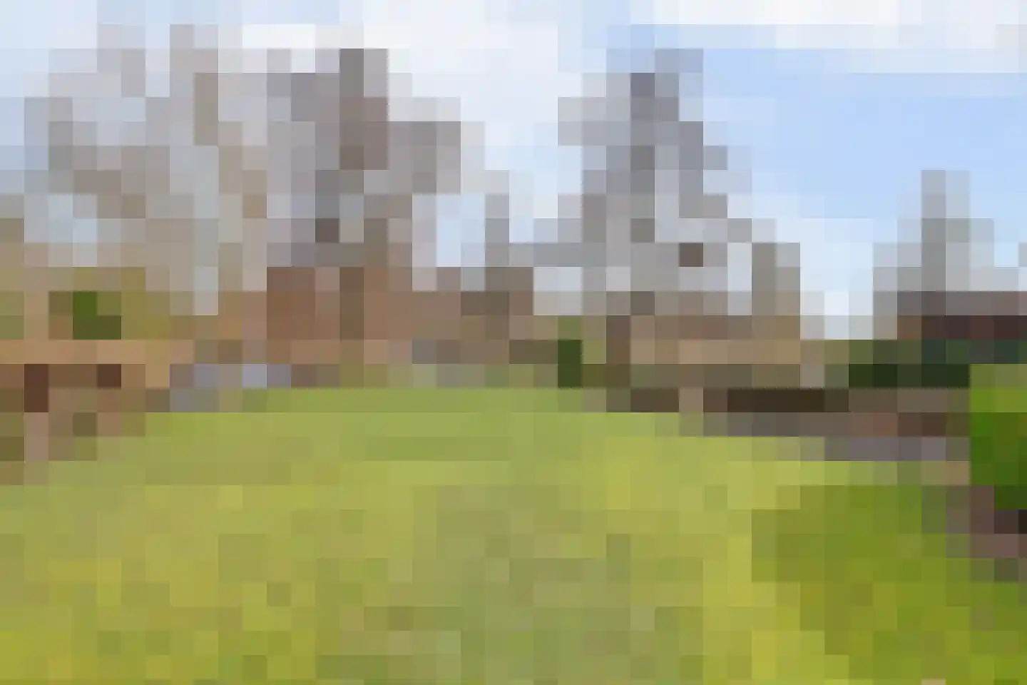 Smient 9 Broek op Langedijk thumbnail 45