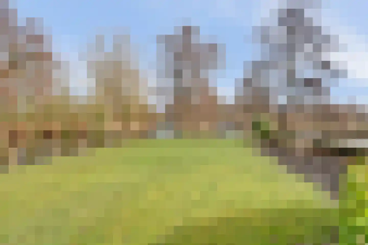 Smient 9 Broek op Langedijk thumbnail 46