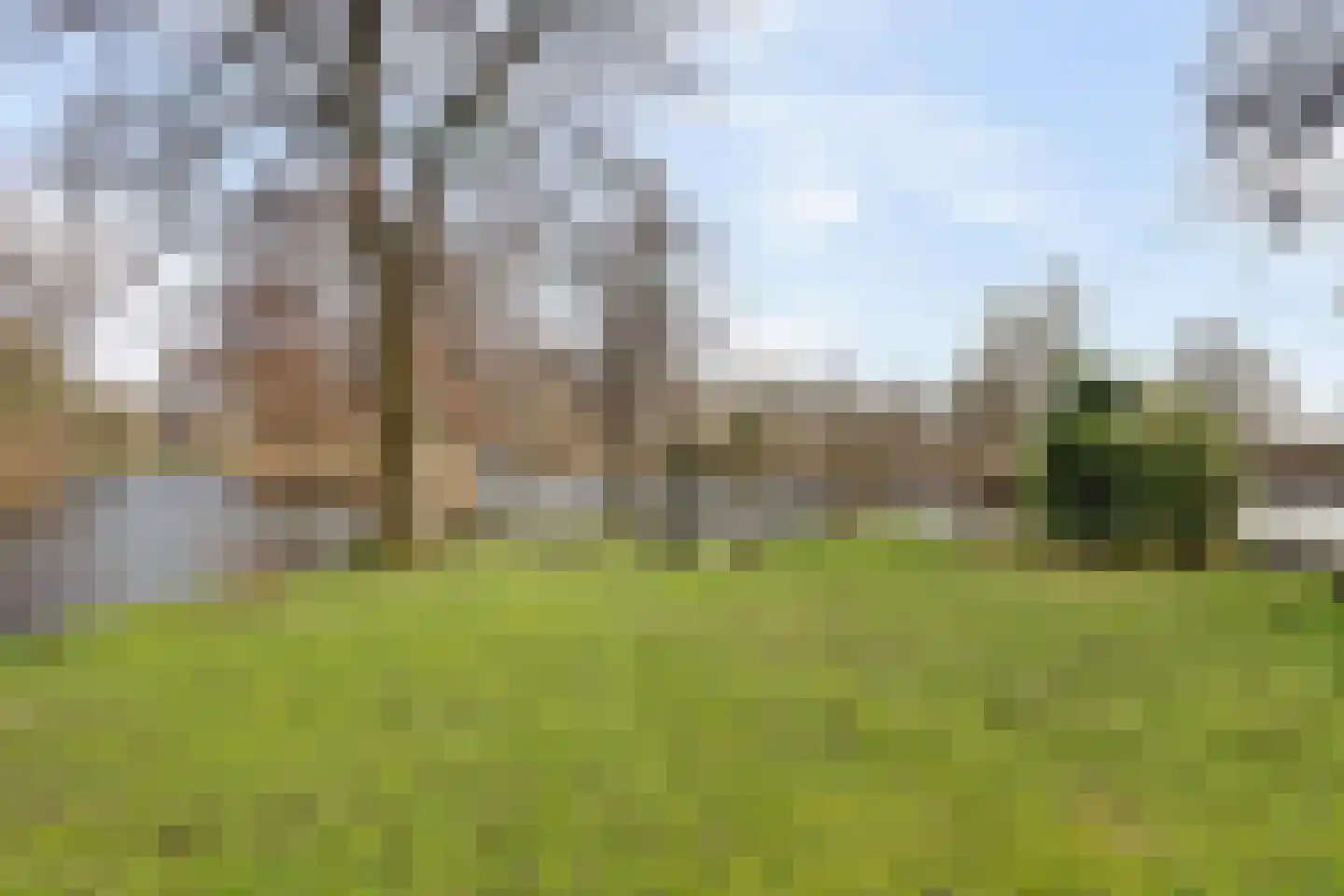 Smient 9 Broek op Langedijk thumbnail 47