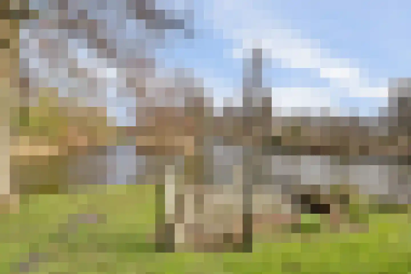 Smient 9 Broek op Langedijk thumbnail 48