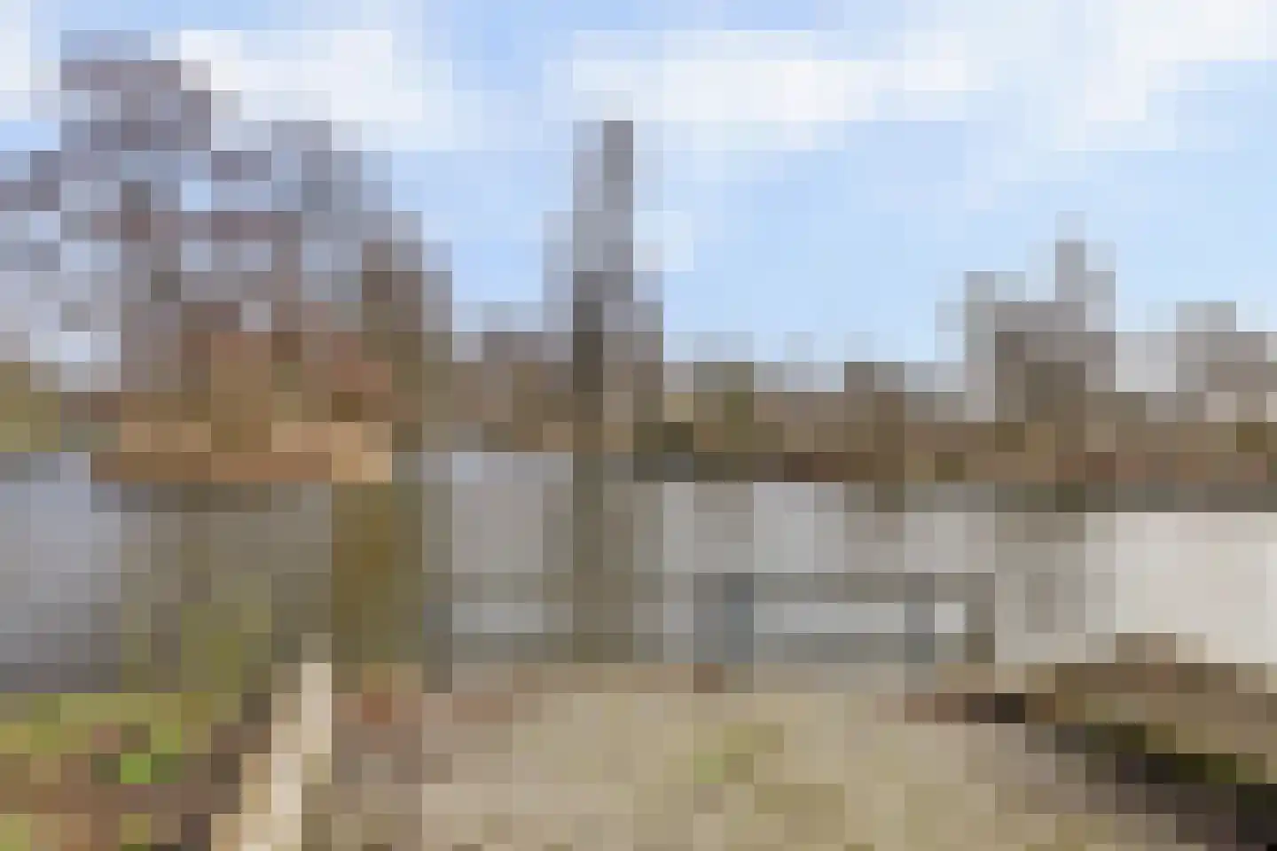 Smient 9 Broek op Langedijk thumbnail 49