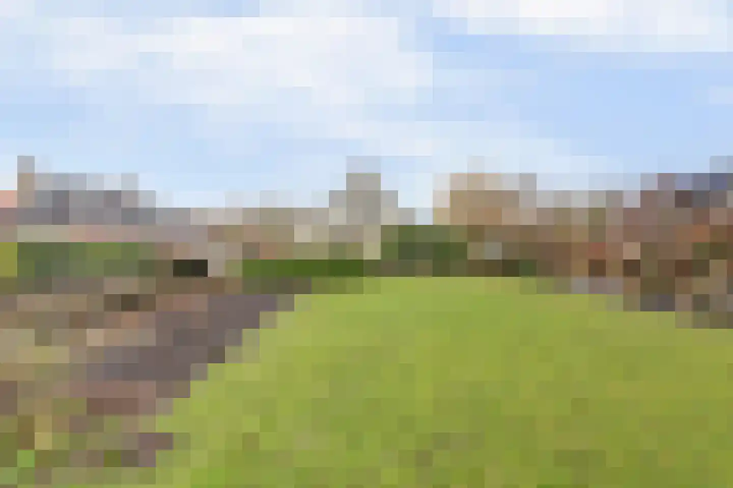 Smient 9 Broek op Langedijk thumbnail 50