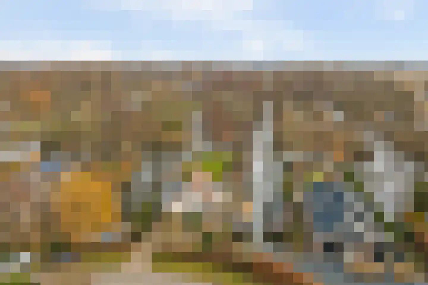 Smient 9 Broek op Langedijk thumbnail 53