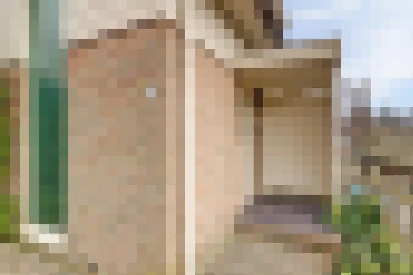 Smient 9 Broek op Langedijk thumbnail 6