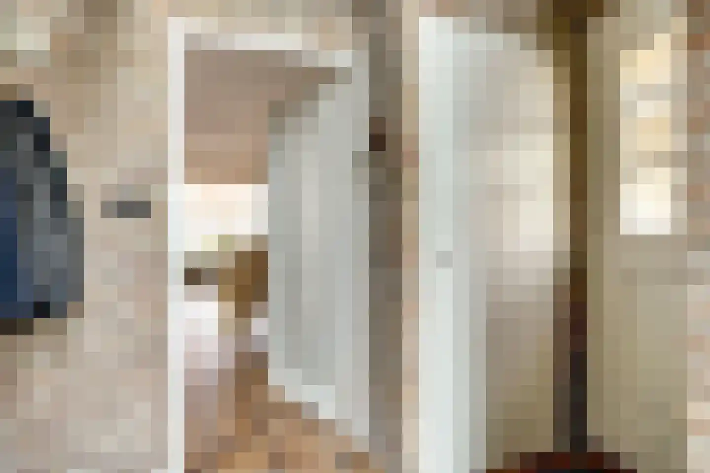 Smient 9 Broek op Langedijk thumbnail 7