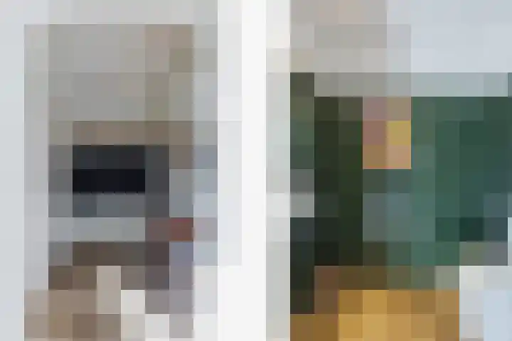 Smientdonk 3 Veghel thumbnail 10