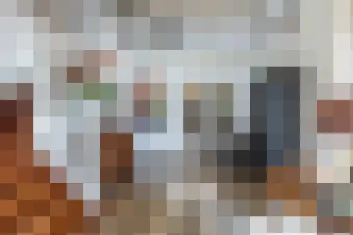Smientdonk 3 Veghel thumbnail 11