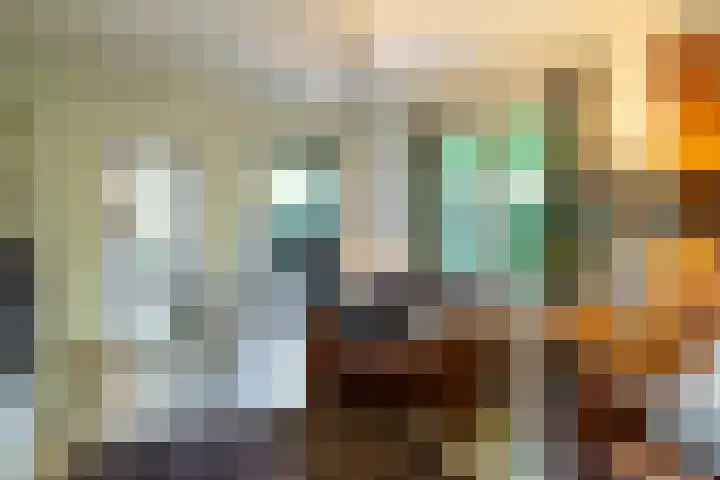 Smientdonk 3 Veghel thumbnail 13