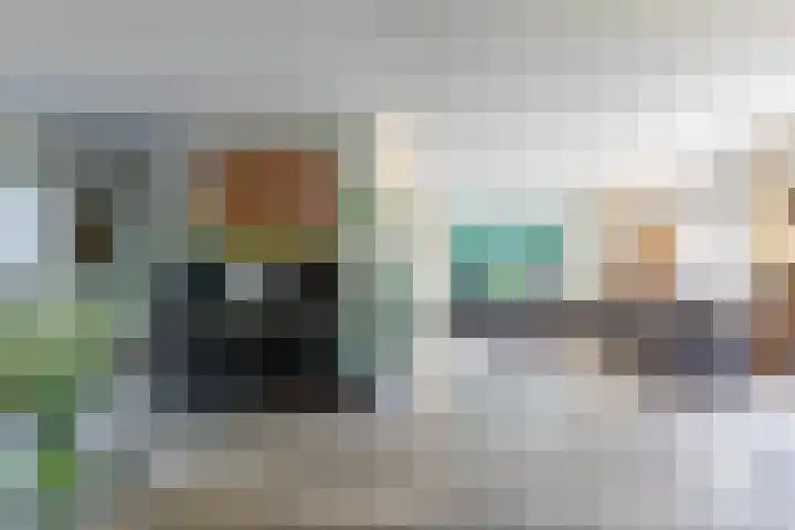 Smientdonk 3 Veghel thumbnail 16