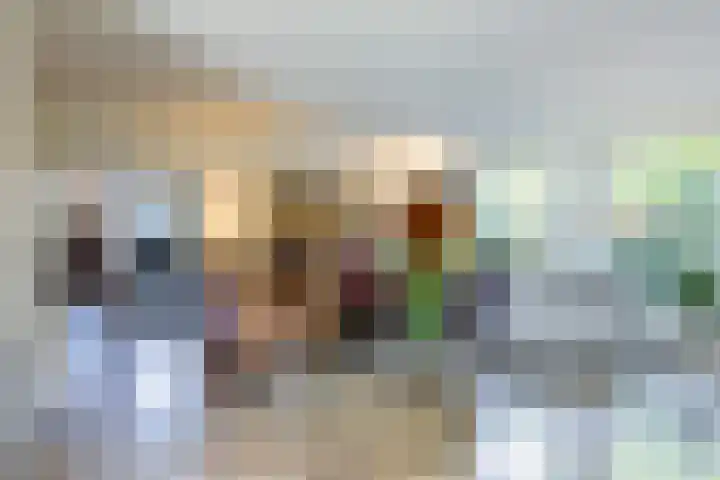 Smientdonk 3 Veghel thumbnail 19