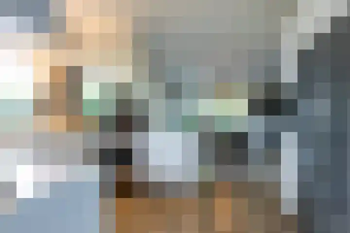 Smientdonk 3 Veghel thumbnail 25