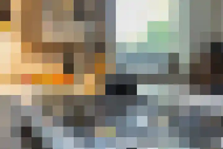 Smientdonk 3 Veghel thumbnail 28