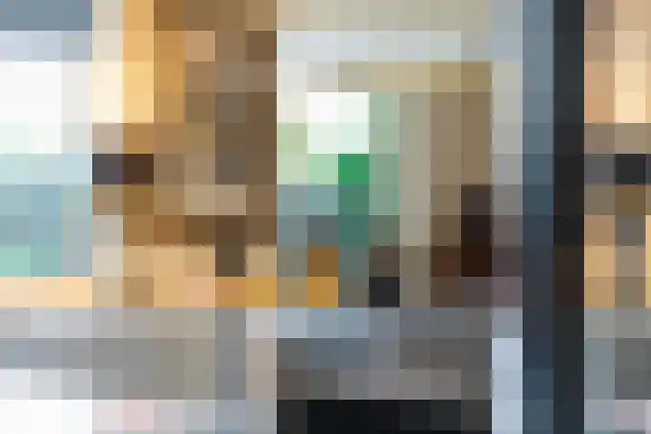 Smientdonk 3 Veghel thumbnail 29