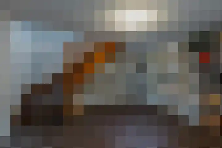 Smientdonk 3 Veghel thumbnail 30
