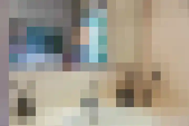 Smientdonk 3 Veghel thumbnail 39
