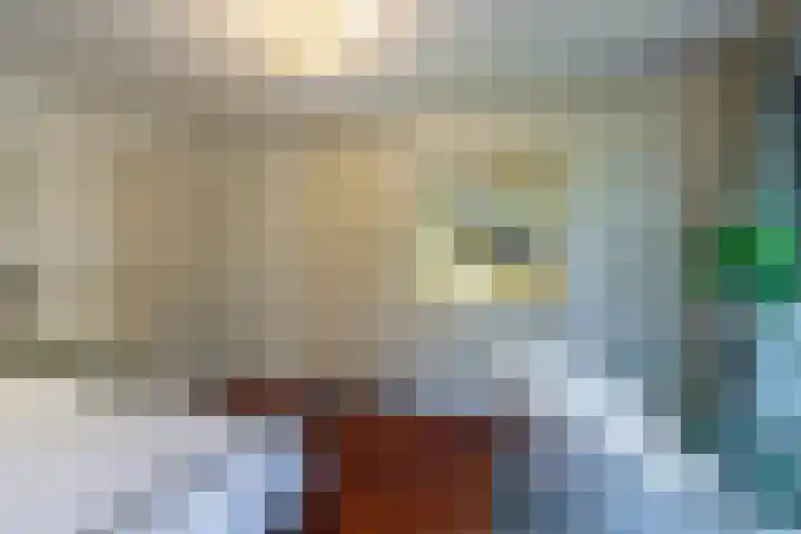 Smientdonk 3 Veghel thumbnail 40