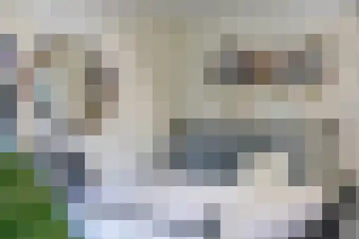 Smientdonk 3 Veghel thumbnail 41