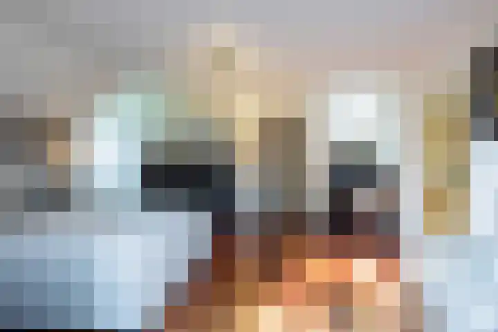 Smientdonk 3 Veghel thumbnail 46