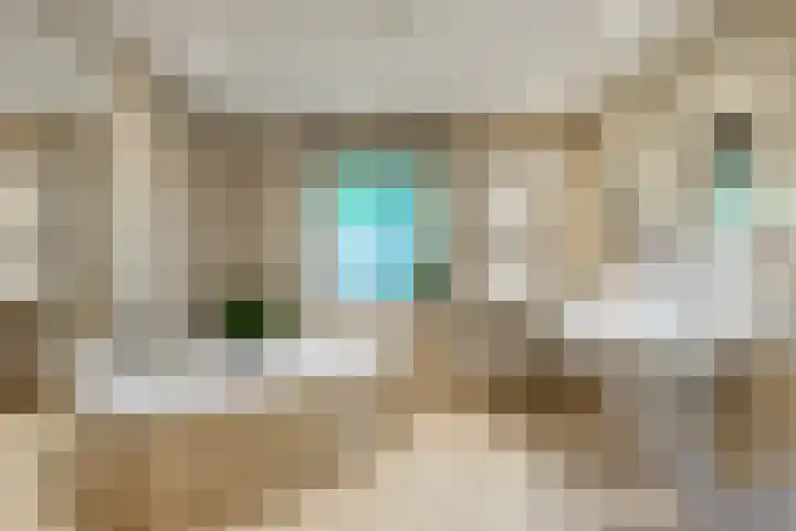 Smientdonk 3 Veghel thumbnail 48