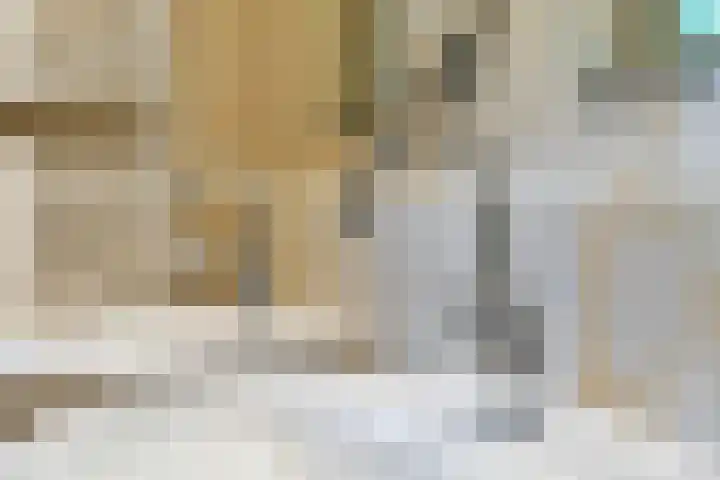 Smientdonk 3 Veghel thumbnail 49