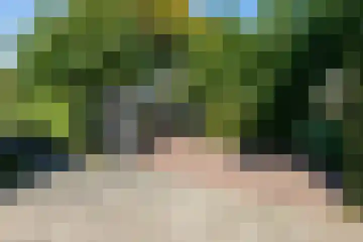 Smientdonk 3 Veghel thumbnail 5