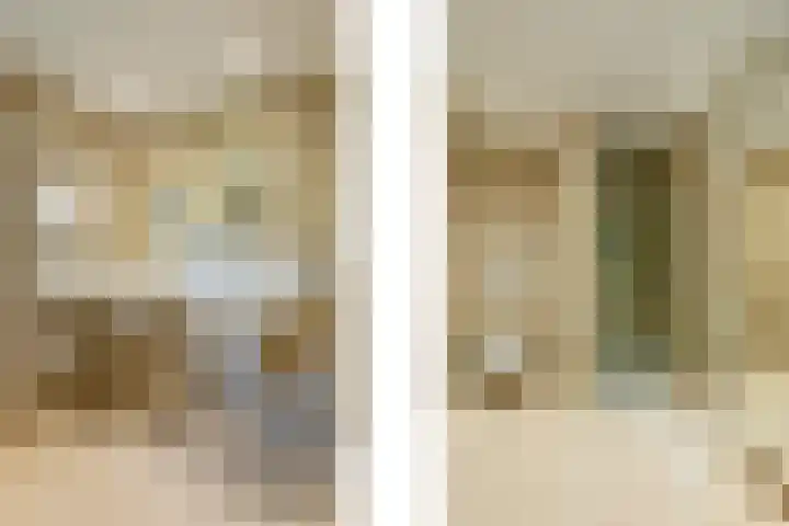 Smientdonk 3 Veghel thumbnail 50
