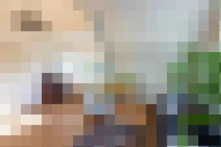Smientdonk 3 Veghel thumbnail 58