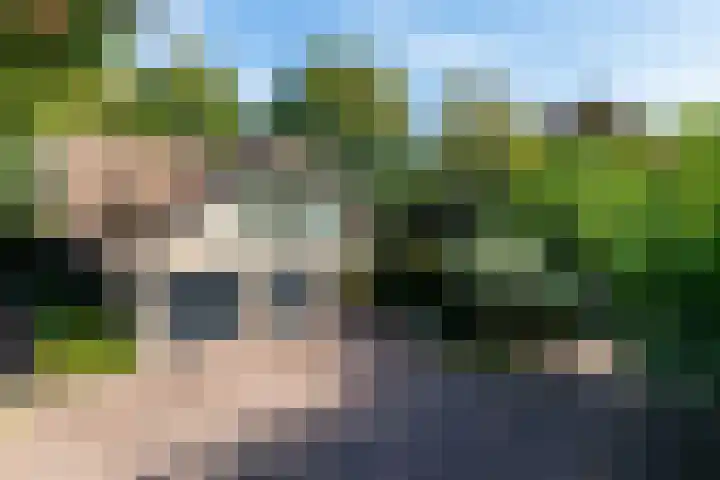 Smientdonk 3 Veghel thumbnail 6