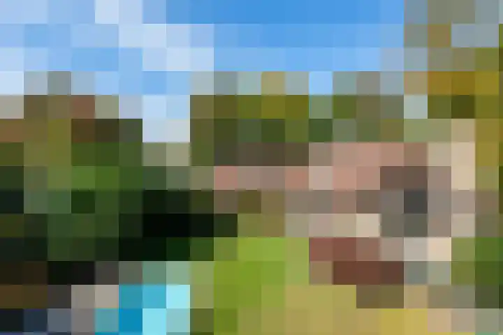Smientdonk 3 Veghel thumbnail 61