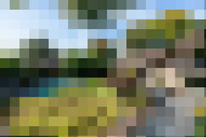 Smientdonk 3 Veghel thumbnail 62