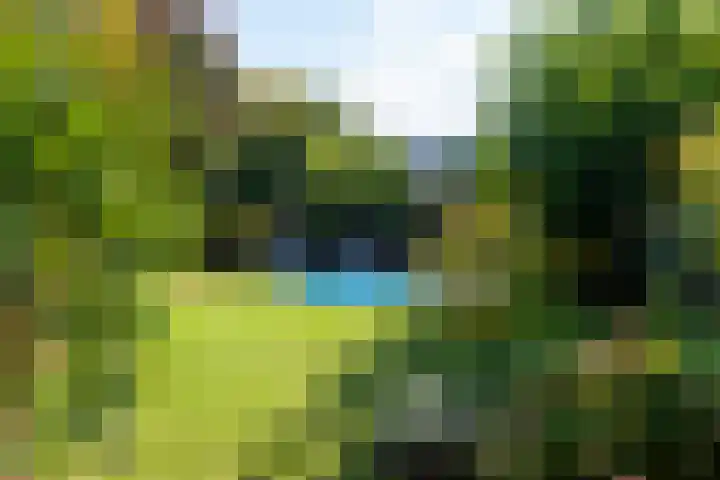 Smientdonk 3 Veghel thumbnail 63