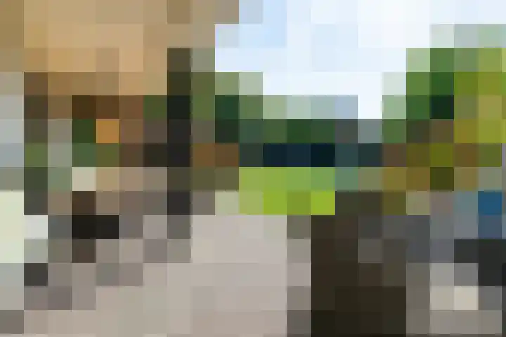 Smientdonk 3 Veghel thumbnail 64