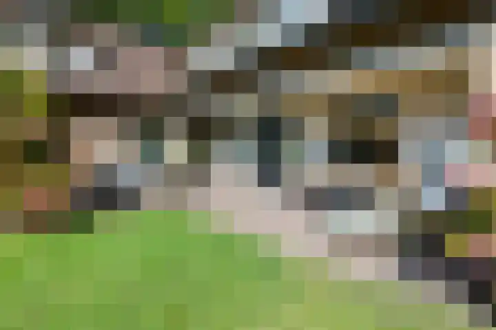 Smientdonk 3 Veghel thumbnail 65