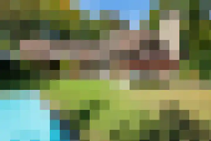 Smientdonk 3 Veghel thumbnail 66