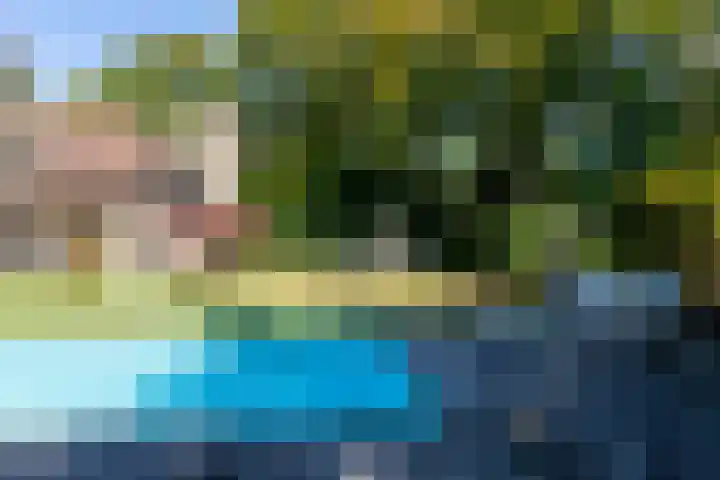 Smientdonk 3 Veghel thumbnail 67