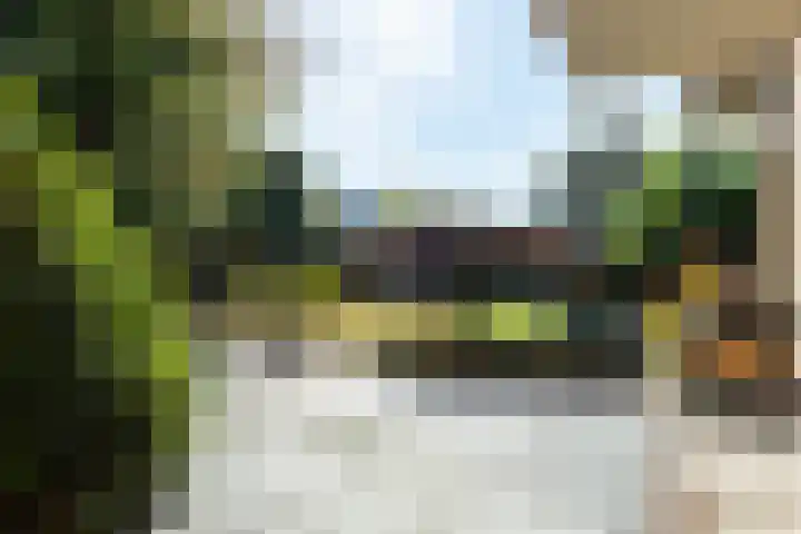 Smientdonk 3 Veghel thumbnail 68