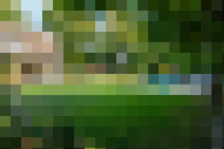 Smientdonk 3 Veghel thumbnail 69