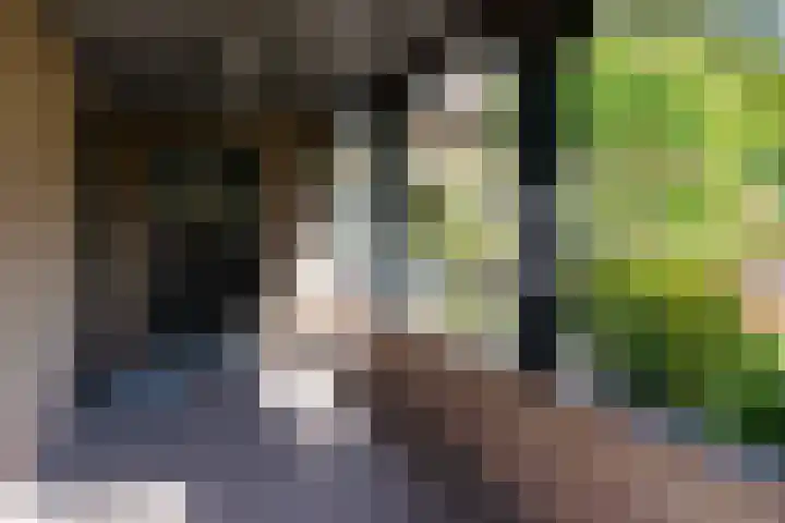 Smientdonk 3 Veghel thumbnail 7