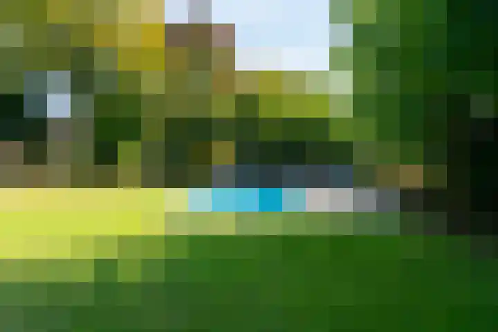 Smientdonk 3 Veghel thumbnail 70